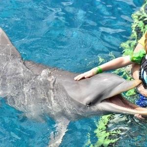 Meet your Posher, Margaret